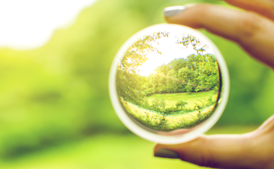 多焦点眼内レンズの種類