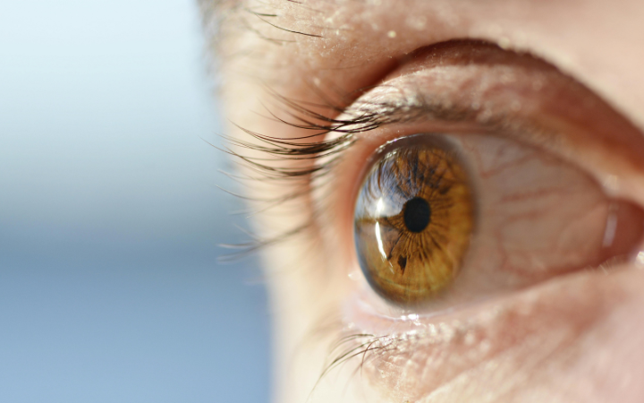 後発白内障・前嚢収縮とは