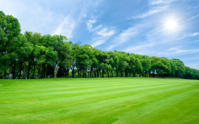 遠方から中間距離まで自然な見え方